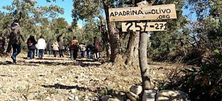 Imagen El Comité Asesor del I Congreso Alcaldes e Innovación elige los casos de éxito finalistas que se expondrán los días 9 y 10 de noviembre