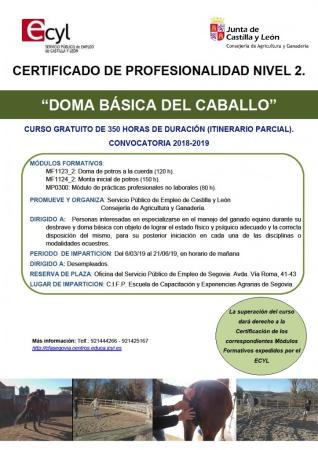 Imagen CURSO GRATUITO 