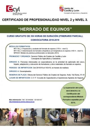 Imagen CURSO GRATUITO DE 